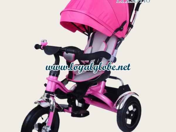 4-in-1 Convertible Baby Tricycle & Stroller Trike LYXSDT10
