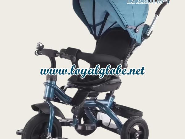 4-in-1 Convertible Baby Tricycle & Stroller Trike LYXSDT18-1 