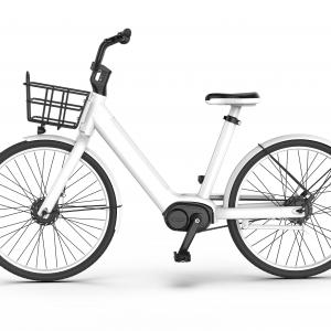 E-Bicycle