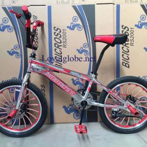 Freestyle Bicycle Model 1