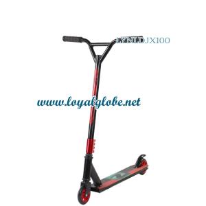 Scooter LYNLDJX100